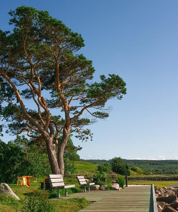 Airbnb Annapolis Royal