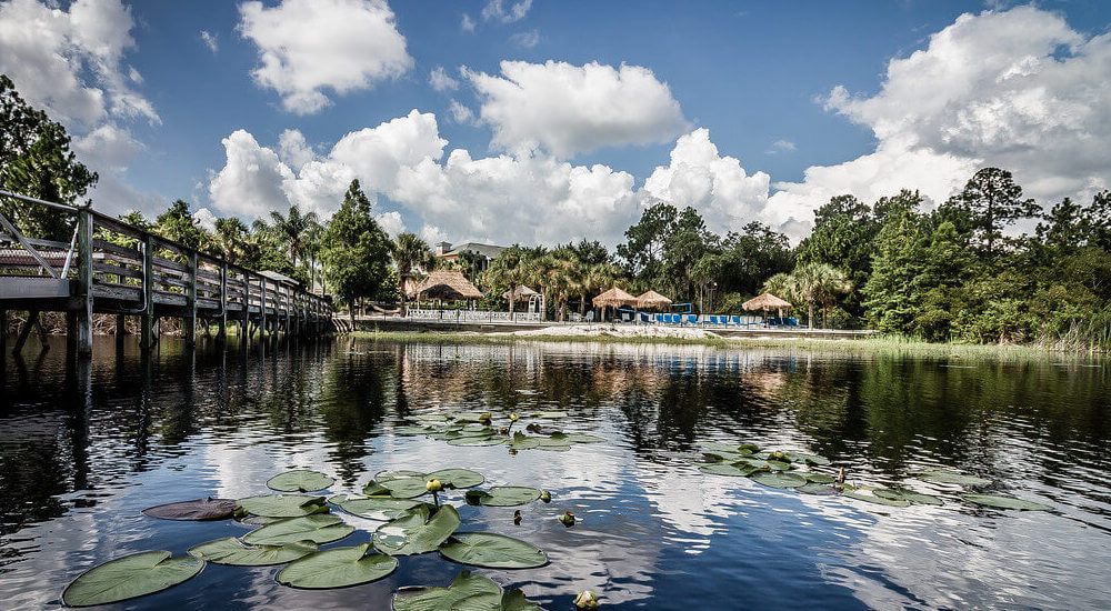 Maximizing Airbnb Profits in Davenport, Florida: 5 Key Dates for Hosts