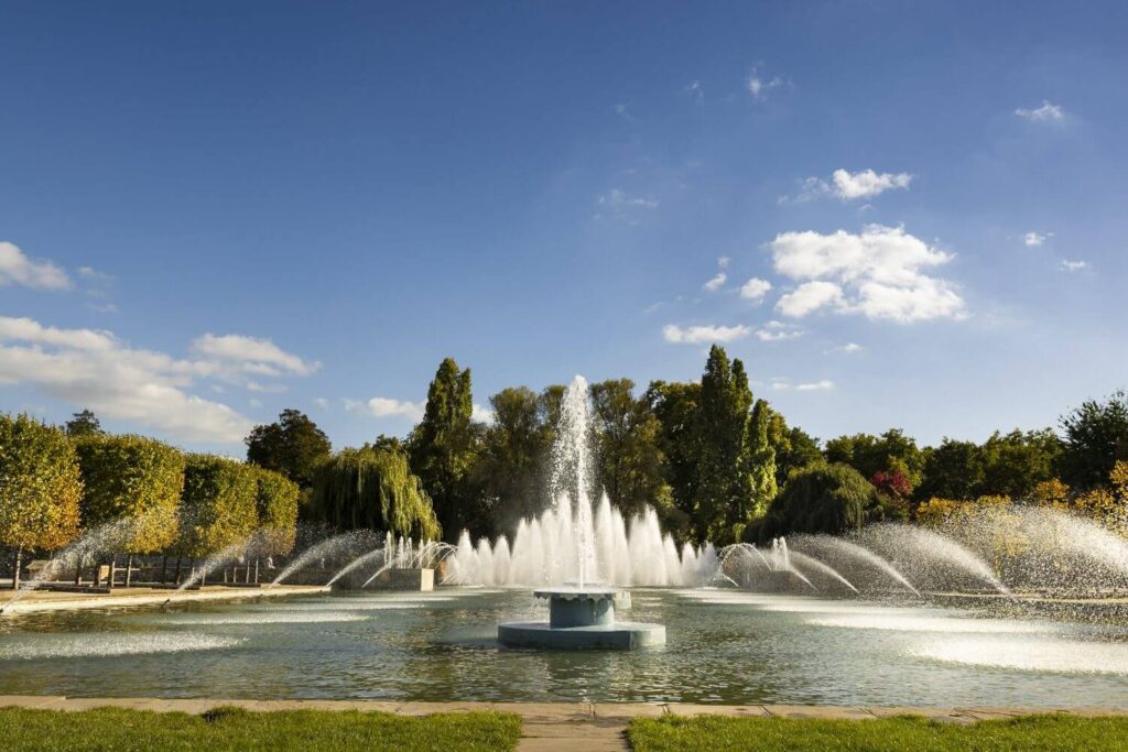 Wandsworth Airbnb Guest's Guide to Exploring the Neighborhood Like a Local