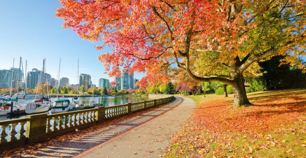 Vancouver Tax on Airbnb Income - The Definitive Guide