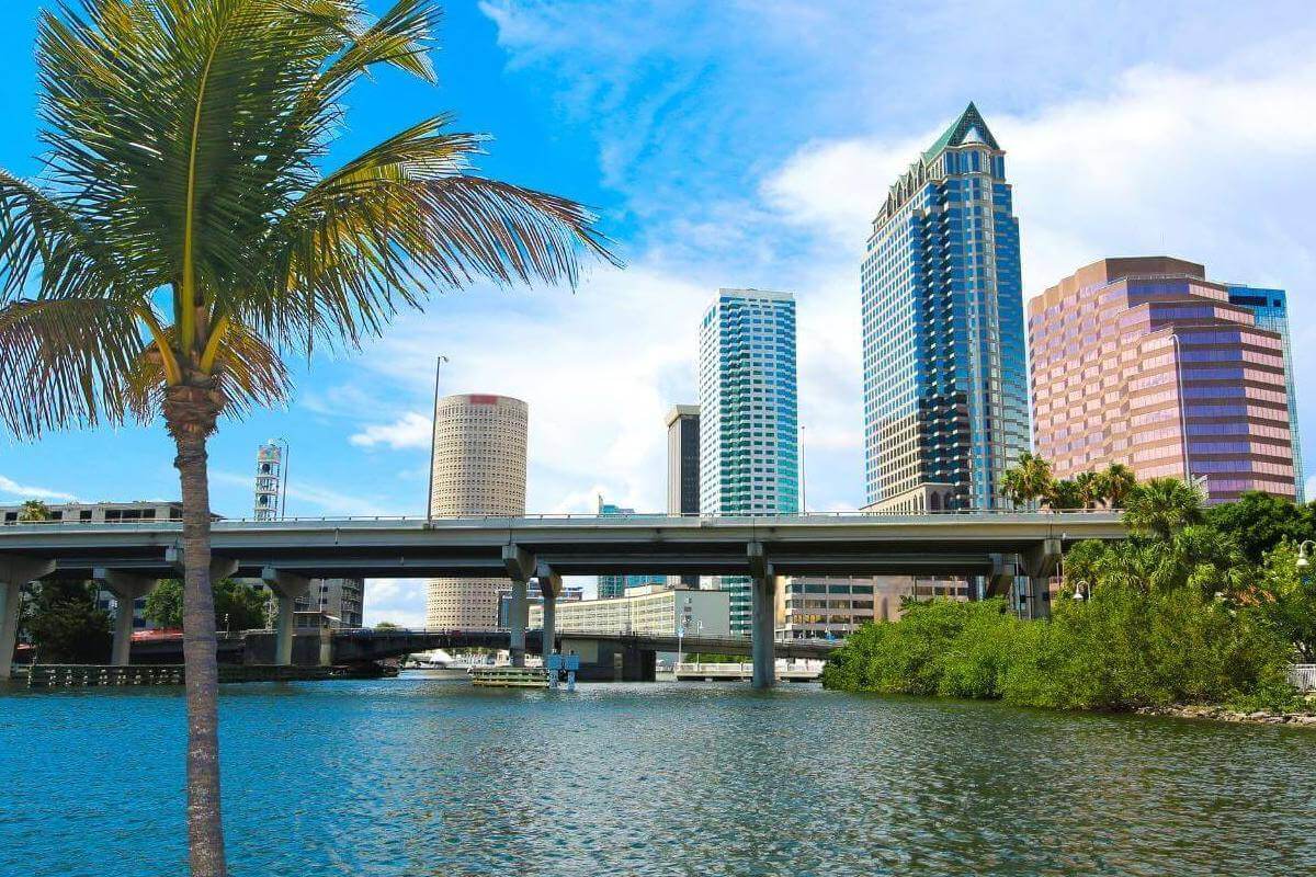 Discovering Premier Airbnb Locations in the Tampa Bay Area