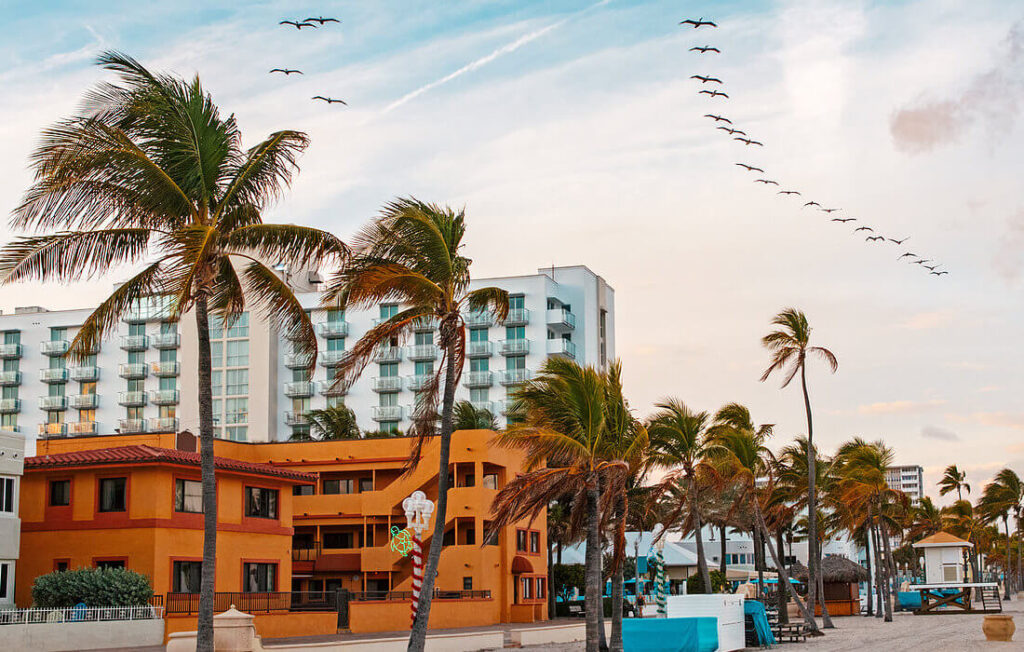 Exploring the Airbnb Investment Potential in Hollywood, Florida